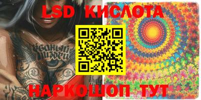 шишки Свободный