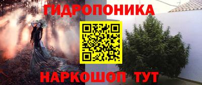 стаф Рыбинск