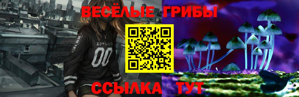 Полысаево  Галлюциногенные грибы Magic Shrooms  Вход с VPN  Галлюциногенные грибы ЛСД 